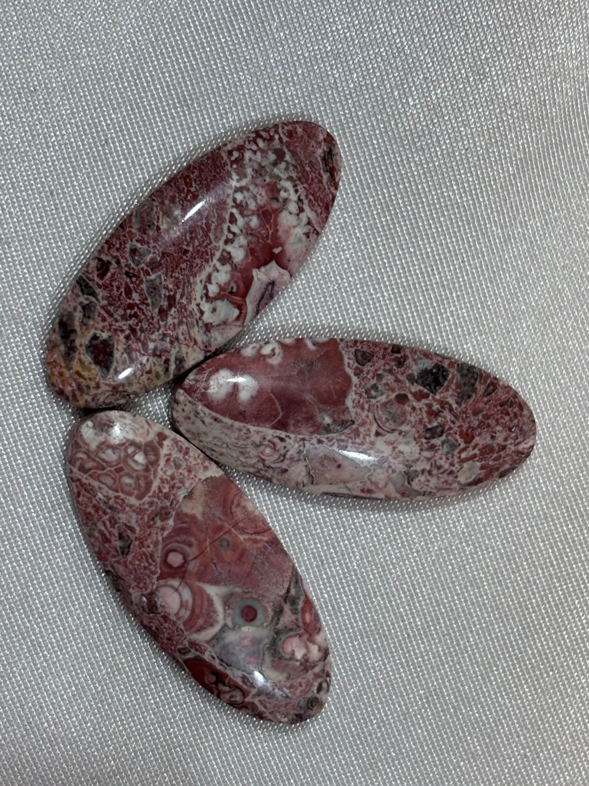 Piel de Víbora Ovalada