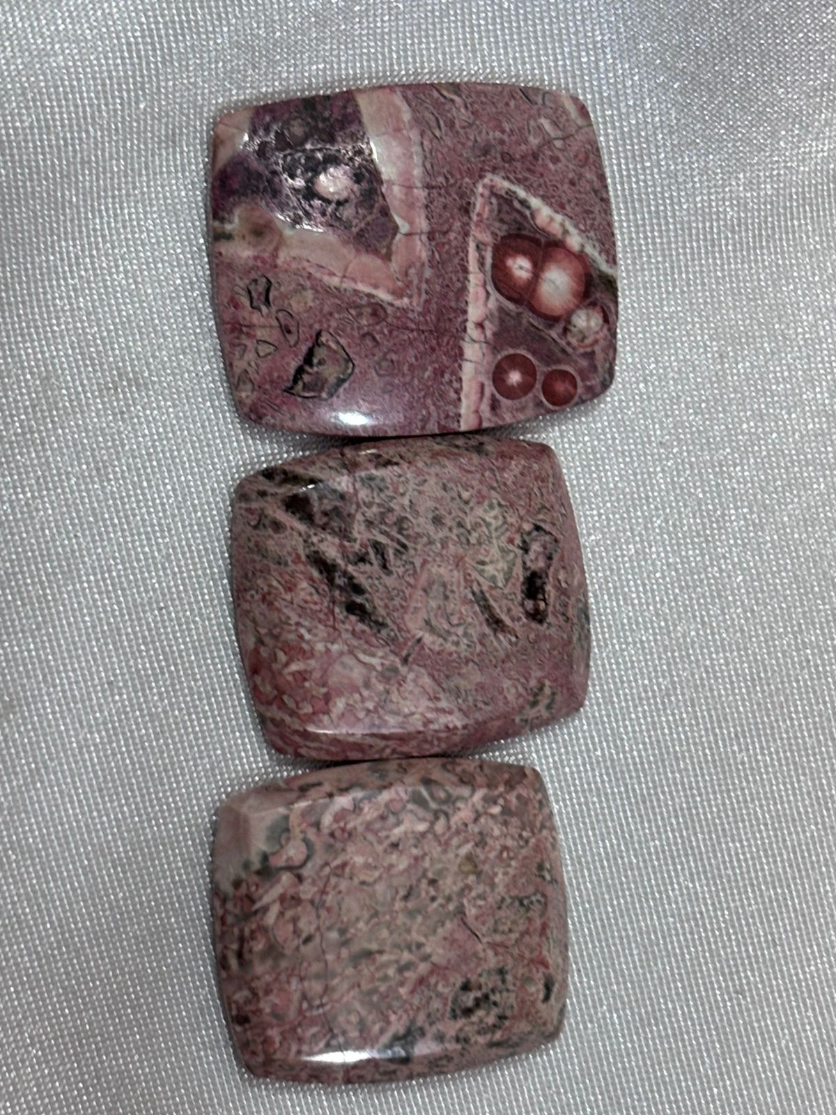 Piel de Víbora Cuadrada