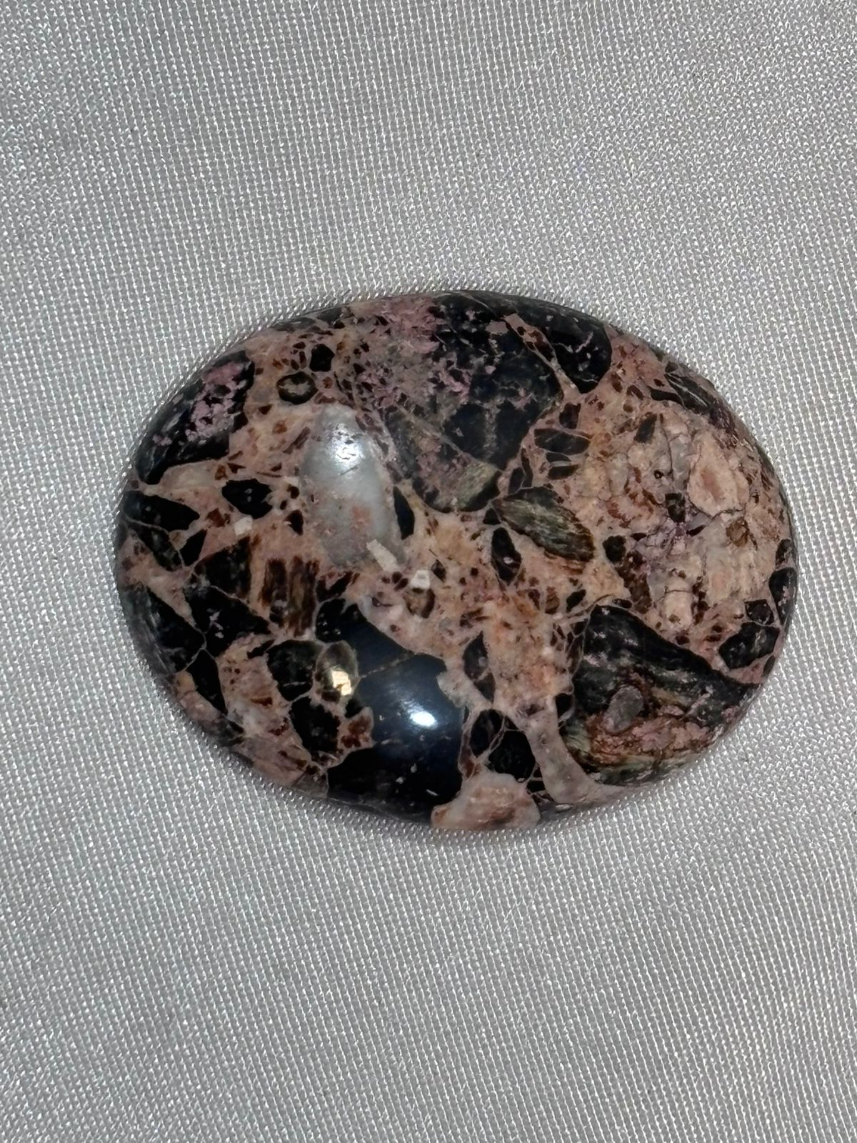 Piel de Víbora Ovalada