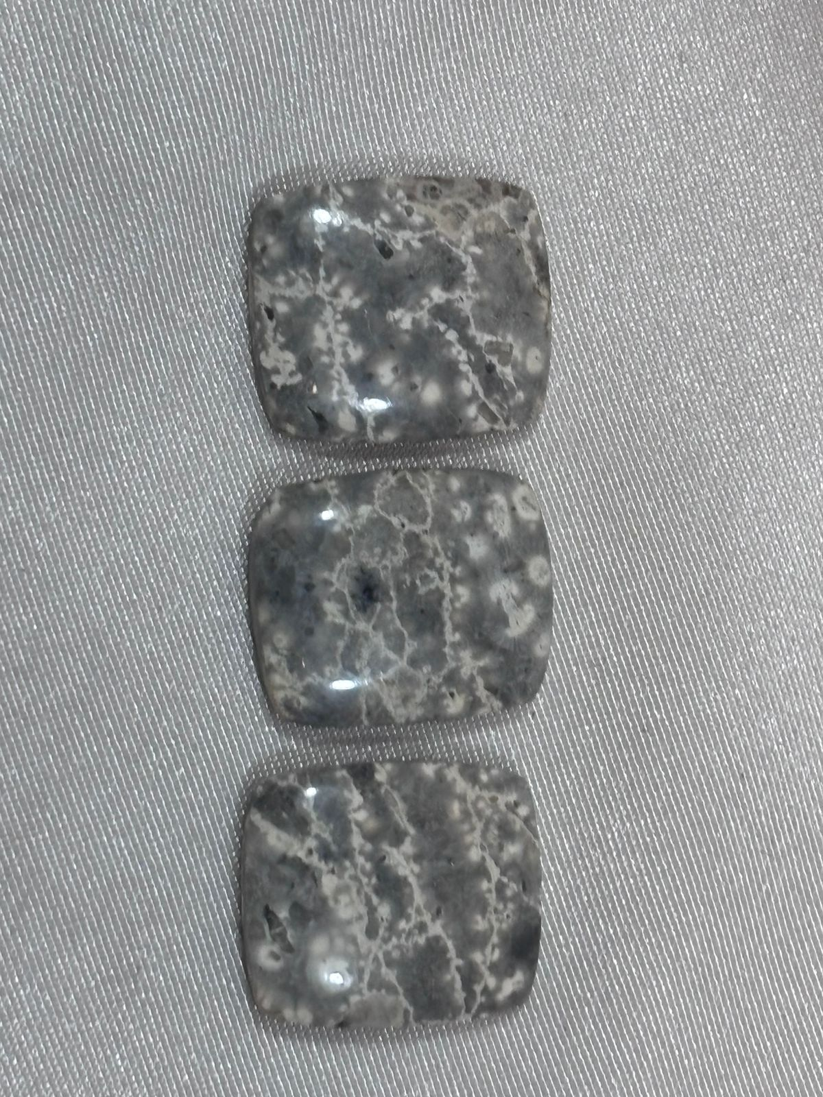 Piel de Víbora Cuadrada