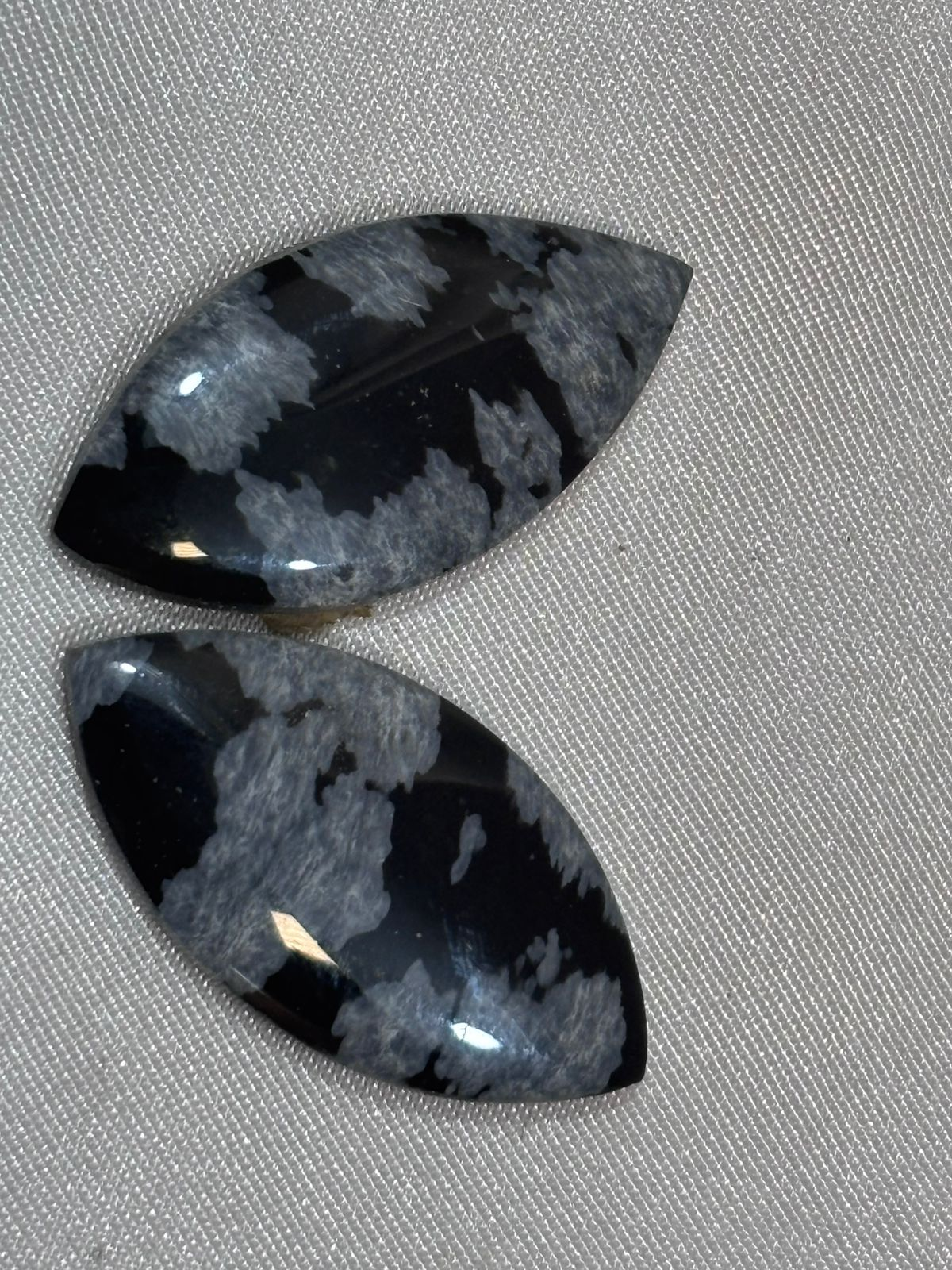 Piel de Víbora Marquesa