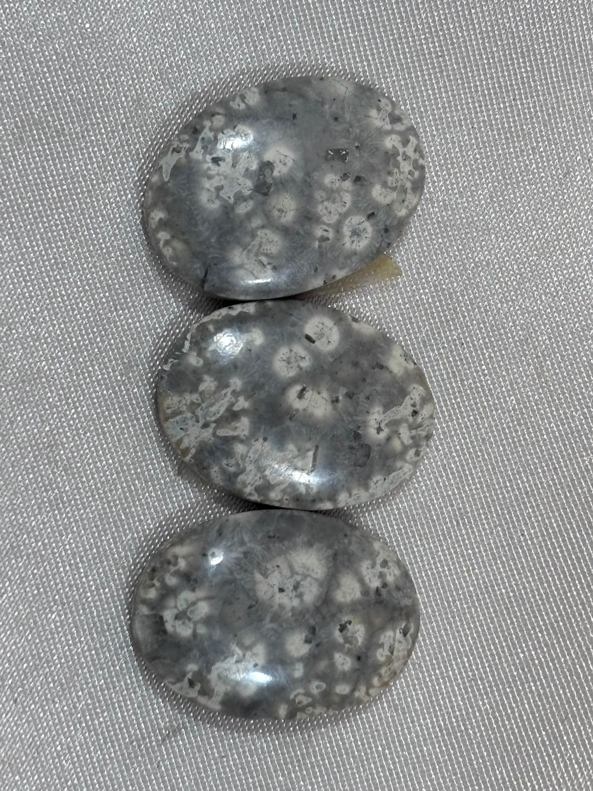 Piel de Víbora Ovalada