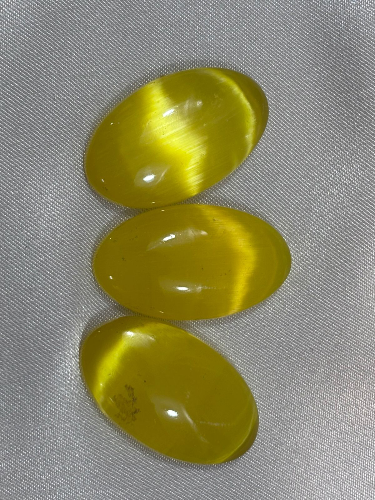 Ojo de Gato Amarillo