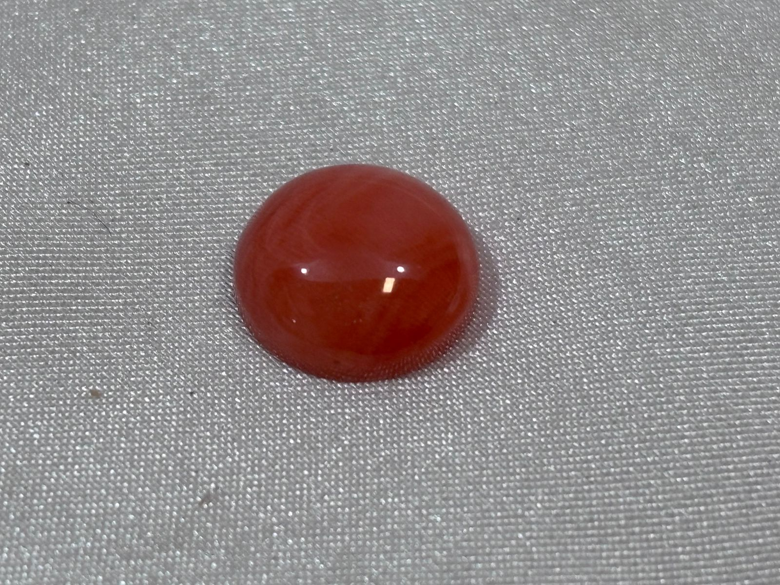 Coral Rojo Redondo