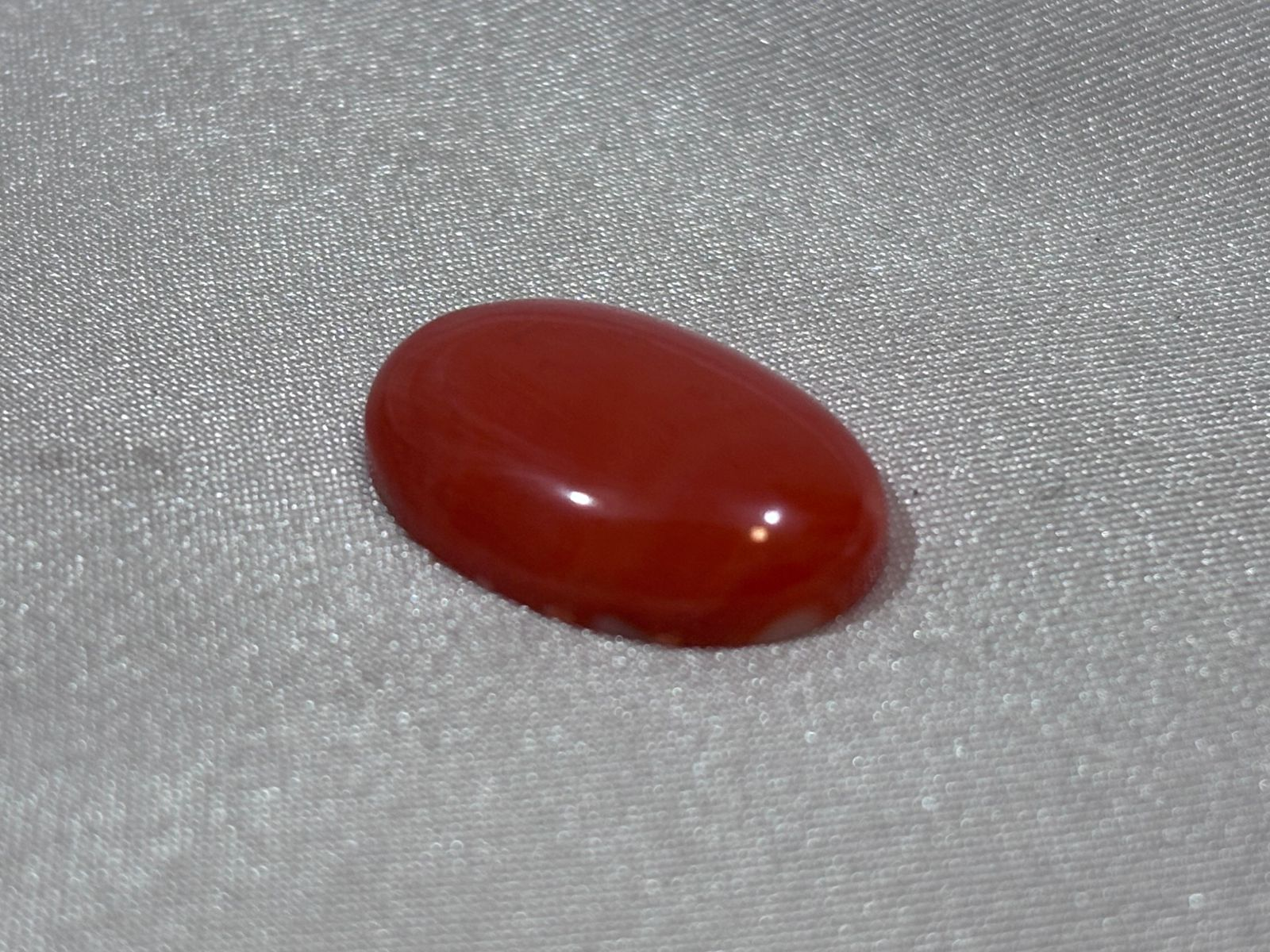Coral Rojo Ovalado