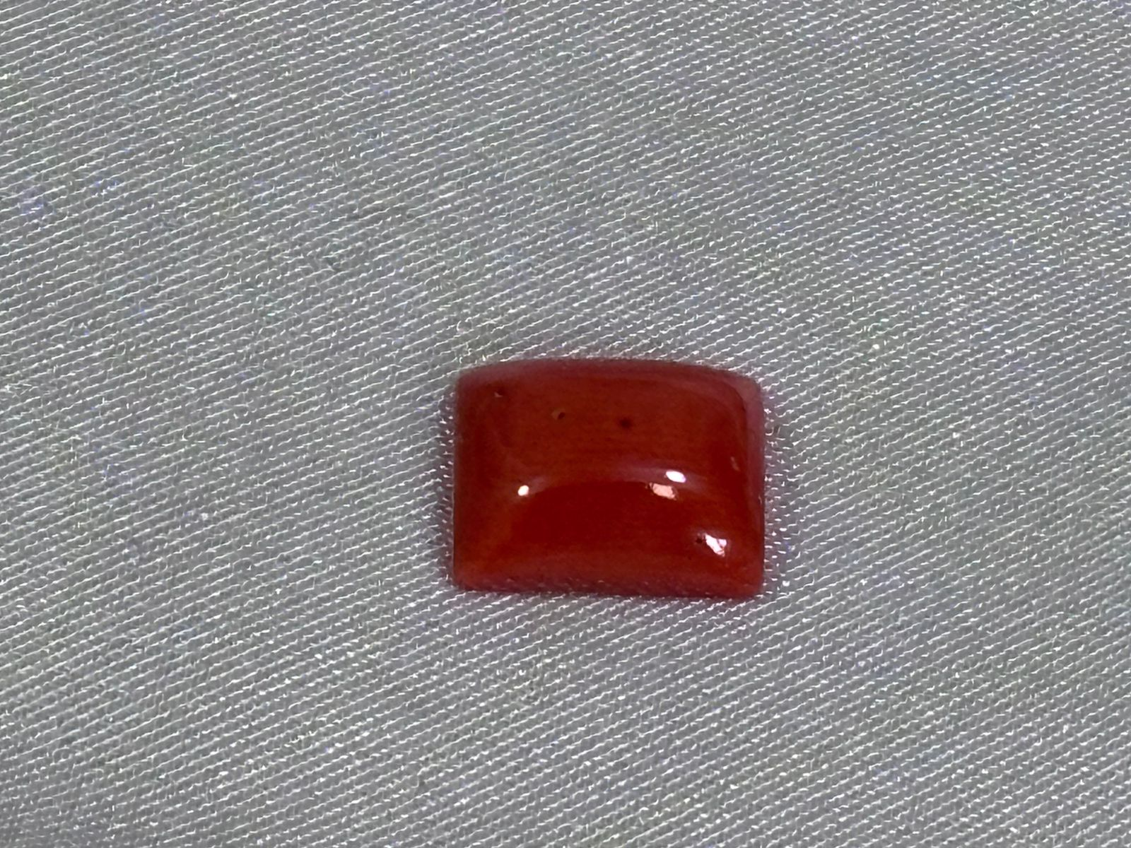 Coral Rojo Rectangular