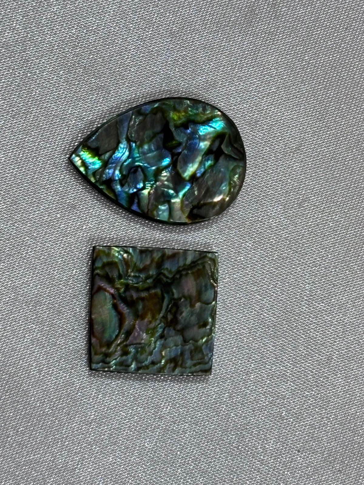 Abalone Concha