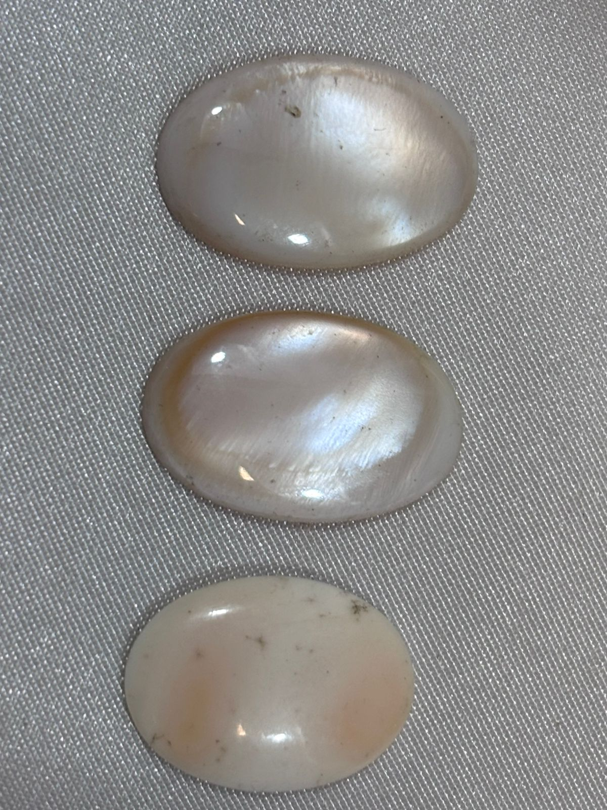 Concha Nácar Blanca