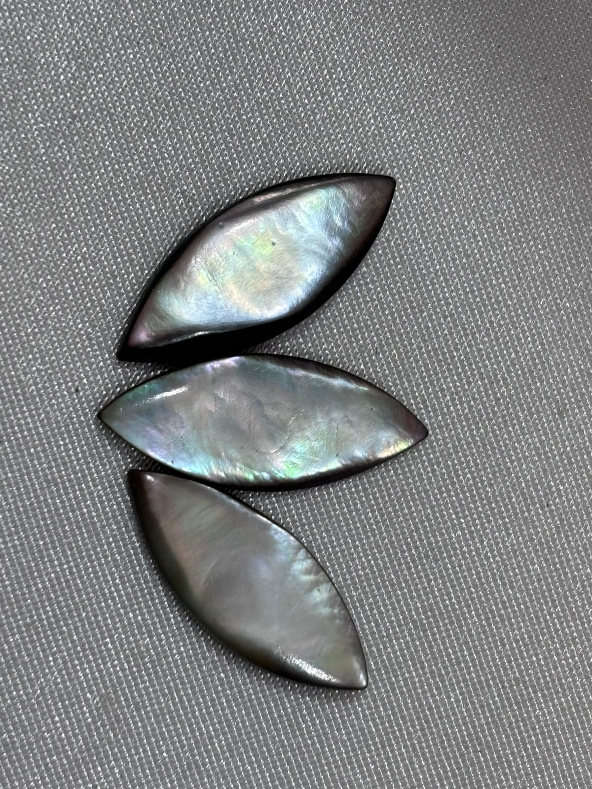 Madreperla