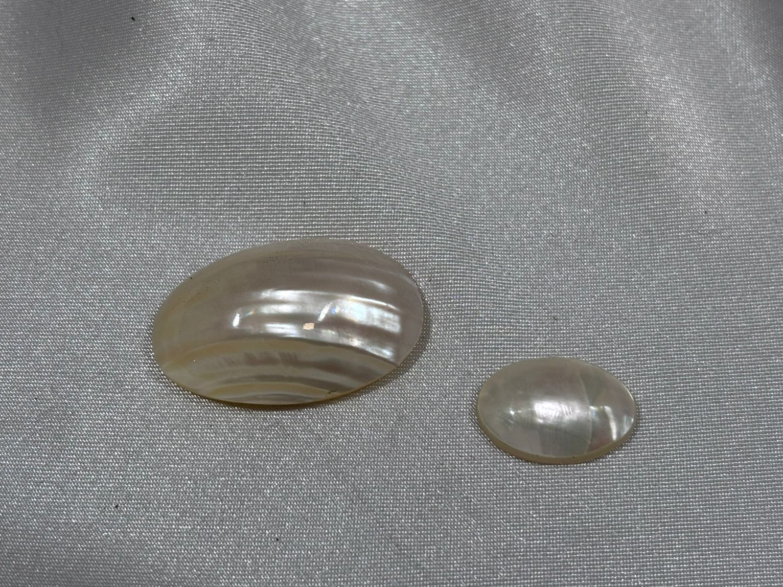 Osmena Blanca Crema