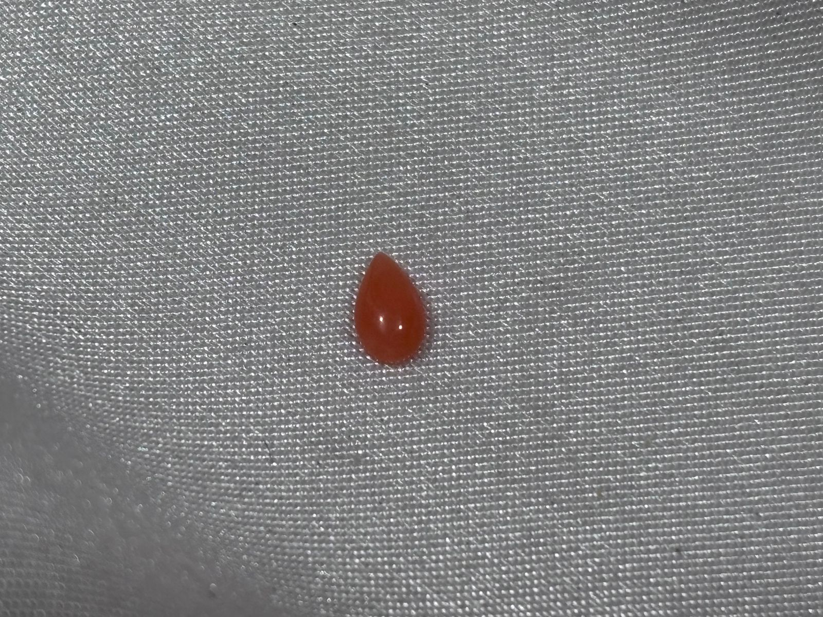 Coral Gota