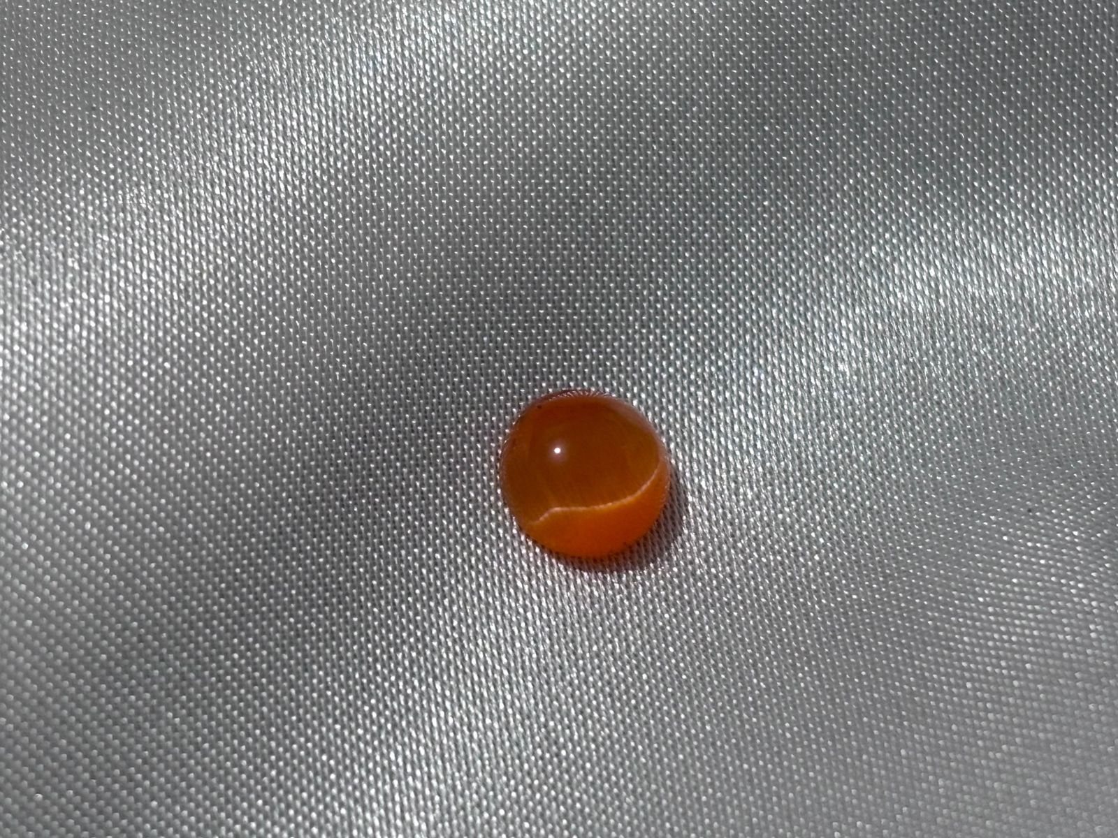 Ojo de Gato Naranja